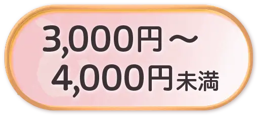 3,000円～4,000円未満